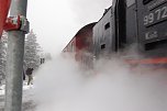 Die Doppelk&ouml;rner unterwegs (Foto: A. Richter)