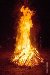 Einladung zum dritten Knutfest (Foto: Bielscher Kirmesverein)