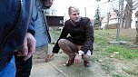Viel Betrieb in Frankenhausen (Foto: privat)