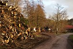 Gesperrt (Foto: S. Witzel)