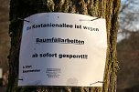 Gesperrt (Foto: S. Witzel)