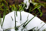 Winterliche Impressionen (Foto: Gernot Thelemann)