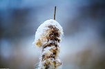 Winterliche Impressionen (Foto: Gernot Thelemann)
