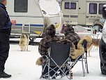 Schlittenhunderennen in Benneckenstein (Foto: Karin Lehmann, Peter Blei)