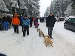 Schlittenhunderennen in Benneckenstein (Foto: Karin Lehmann, Peter Blei)