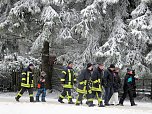 Schlittenhunderennen in Benneckenstein (Foto: Karin Lehmann, Peter Blei)