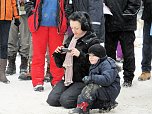 Schlittenhunderennen in Benneckenstein (Foto: Karin Lehmann, Peter Blei)