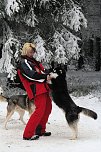 Schlittenhunderennen in Benneckenstein (Foto: Karin Lehmann, Peter Blei)