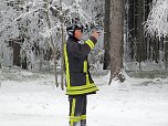 Schlittenhunderennen in Benneckenstein (Foto: Karin Lehmann, Peter Blei)