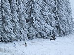 Schlittenhunderennen in Benneckenstein (Foto: Karin Lehmann, Peter Blei)