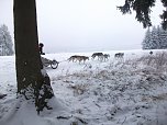 Im Einsatz in Benneckenstein (Foto: S. Eicke)