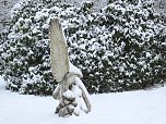 Der Oberharz am Brocken (Foto: Karin Lehmann, Peter Blei)