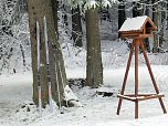 Der Oberharz am Brocken (Foto: Karin Lehmann, Peter Blei)