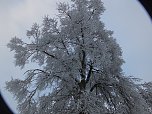 Der Oberharz am Brocken (Foto: Karin Lehmann, Peter Blei)