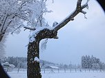 Der Oberharz am Brocken (Foto: Karin Lehmann, Peter Blei)