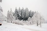 Der Oberharz am Brocken (Foto: Karin Lehmann, Peter Blei)