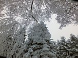 Der Oberharz am Brocken (Foto: Karin Lehmann, Peter Blei)