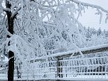Der Oberharz am Brocken (Foto: Karin Lehmann, Peter Blei)