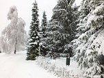 Der Oberharz am Brocken (Foto: Karin Lehmann, Peter Blei)