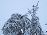 Der Oberharz am Brocken (Foto: Karin Lehmann, Peter Blei)