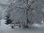 Der Oberharz am Brocken (Foto: Karin Lehmann, Peter Blei)