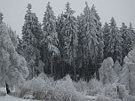 Der Oberharz am Brocken (Foto: Karin Lehmann, Peter Blei)