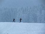 Der Oberharz am Brocken (Foto: Karin Lehmann, Peter Blei)
