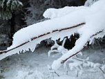 Der Oberharz am Brocken (Foto: Karin Lehmann, Peter Blei)