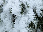Der Oberharz am Brocken (Foto: Karin Lehmann, Peter Blei)