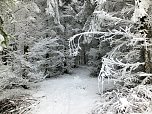 Der Oberharz am Brocken (Foto: Karin Lehmann, Peter Blei)