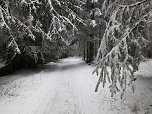 Der Oberharz am Brocken (Foto: Karin Lehmann, Peter Blei)