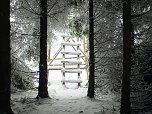 Der Oberharz am Brocken (Foto: Karin Lehmann, Peter Blei)