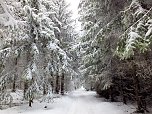 Der Oberharz am Brocken (Foto: Karin Lehmann, Peter Blei)