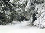 Der Oberharz am Brocken (Foto: Karin Lehmann, Peter Blei)