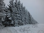Der Oberharz am Brocken (Foto: Karin Lehmann, Peter Blei)