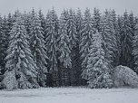 Der Oberharz am Brocken (Foto: Karin Lehmann, Peter Blei)