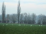 Kernburg (Foto: Karin Lehmann)