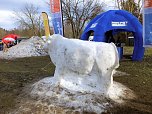 Winterm&auml;rchen in Hasselfelde (Foto: Karin Lehmann)