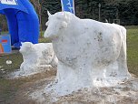 Winterm&auml;rchen in Hasselfelde (Foto: Karin Lehmann)