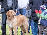 Winterm&auml;rchen in Hasselfelde (Foto: Karin Lehmann)