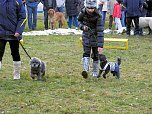 Winterm&auml;rchen in Hasselfelde (Foto: Karin Lehmann)