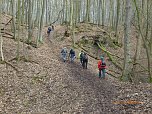 Durch den S&uuml;dharz (Foto: Bodo Schwarzberg)
