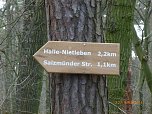Durch den S&uuml;dharz (Foto: Bodo Schwarzberg)