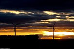 Unterhalb der Kutzh&uuml;tte Richtung Neuhof (Foto: Gernot Thelemann)