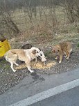 Noch einmal Spenden erw&uuml;nscht (Foto: privat)