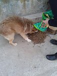 Noch einmal Spenden erw&uuml;nscht (Foto: privat)