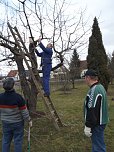 Baumschnitt im Kita-Projektgarten (Foto: Thomas Leipold)