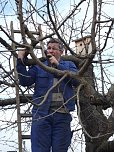 Baumschnitt im Kita-Projektgarten (Foto: Thomas Leipold)