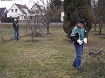Baumschnitt im Kita-Projektgarten (Foto: Thomas Leipold)