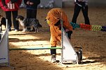 Hundesport und Faschingskost&uuml;m (Foto: nnz)